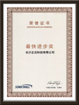 sonicwall 2011最快进步奖